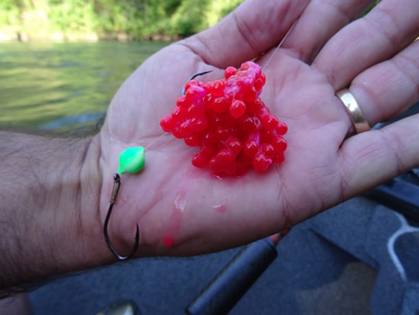 The Perfect Back Bouncing Cure for Salmon - Pautzke Bait Co