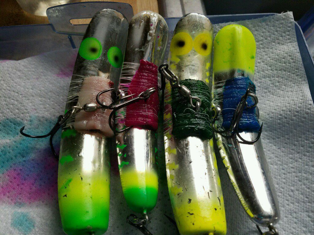 Why Brining Bait Wraps Can Catch You More Salmon Pautzke Bait Co