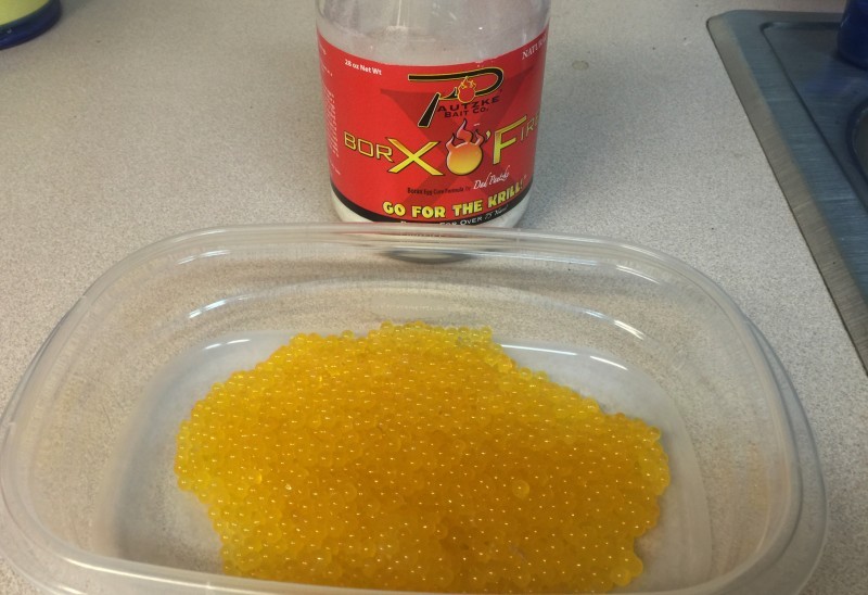 A HowTo Guide Curing Brown Trout Eggs Pautzke Bait Co