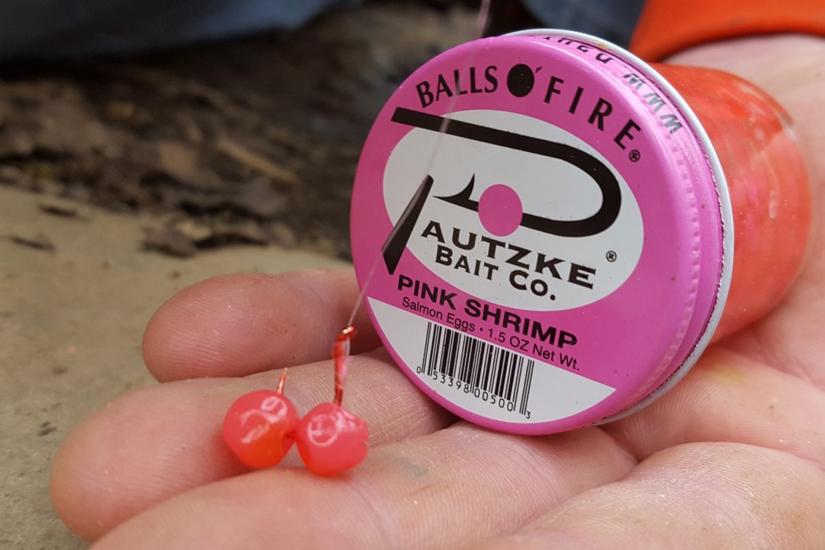 South Carolina's Chauga River Loaded with Trout Pautzke Bait Co