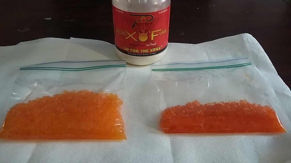 Learn Easy Late Winter Cure For Trout & Steelhead Eggs Pautzke Bait Co