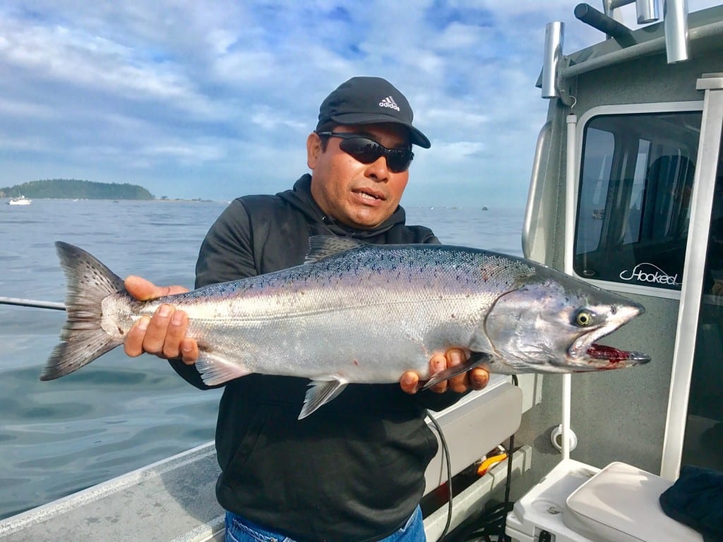 Puget Sound Salmon Much Better This Summer Pautzke Bait Co