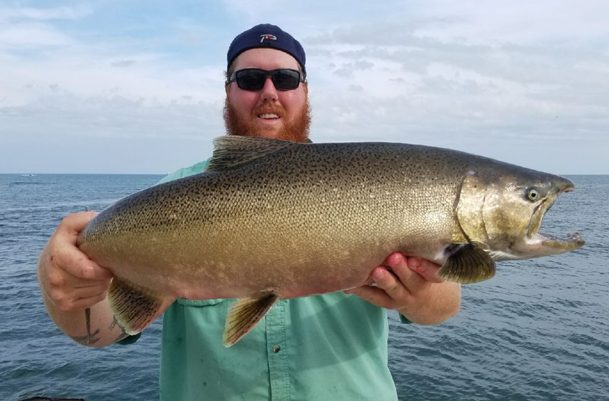 Wisconsin Salmon Bite Peaking Now Pautzke Bait Co