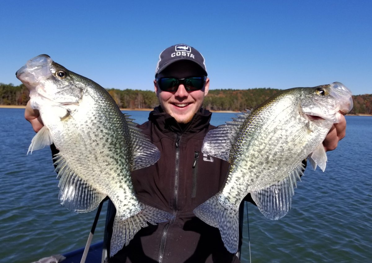Crappie Showing Now On Alabama's Lake Martin Pautzke Bait Co