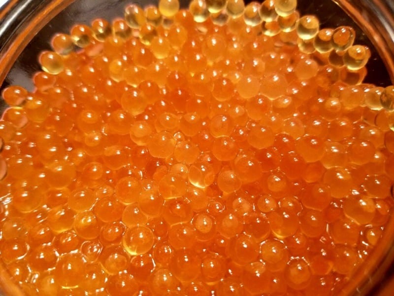 Learn to Water Harden Eggs for Great Lakes Spring Steelhead Pautzke