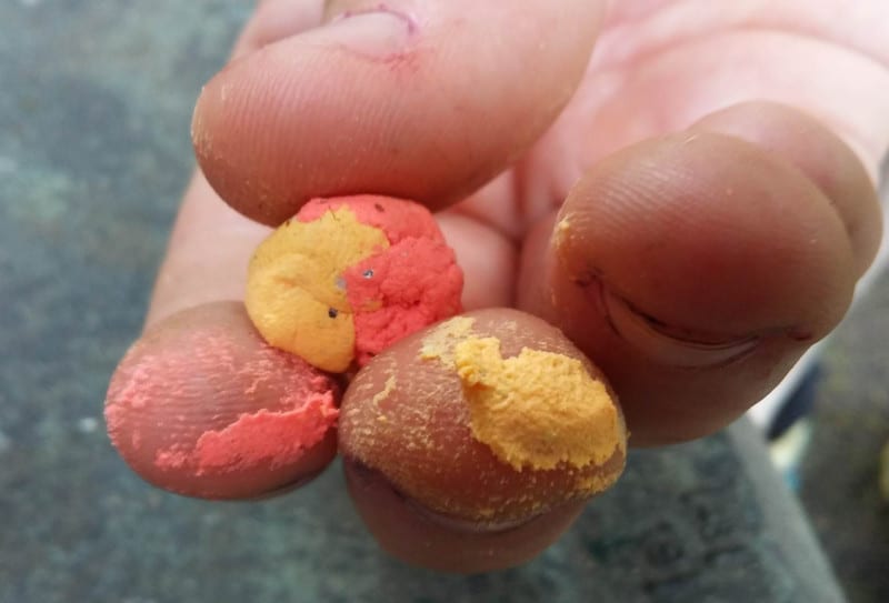 Use This Fire Bait Bait Trick Catch More Trout Pautzke Bait Co