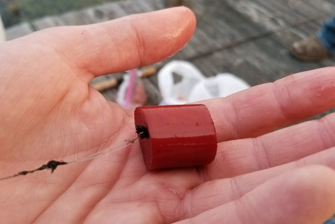 Alabama Pond Catfish Biting in Summer Heat Pautzke Bait Co