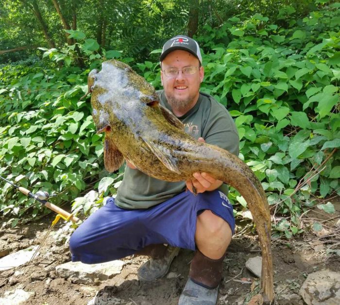Western Pennsylvania Catfish Feeding Aggressively Now Pautzke Bait Co