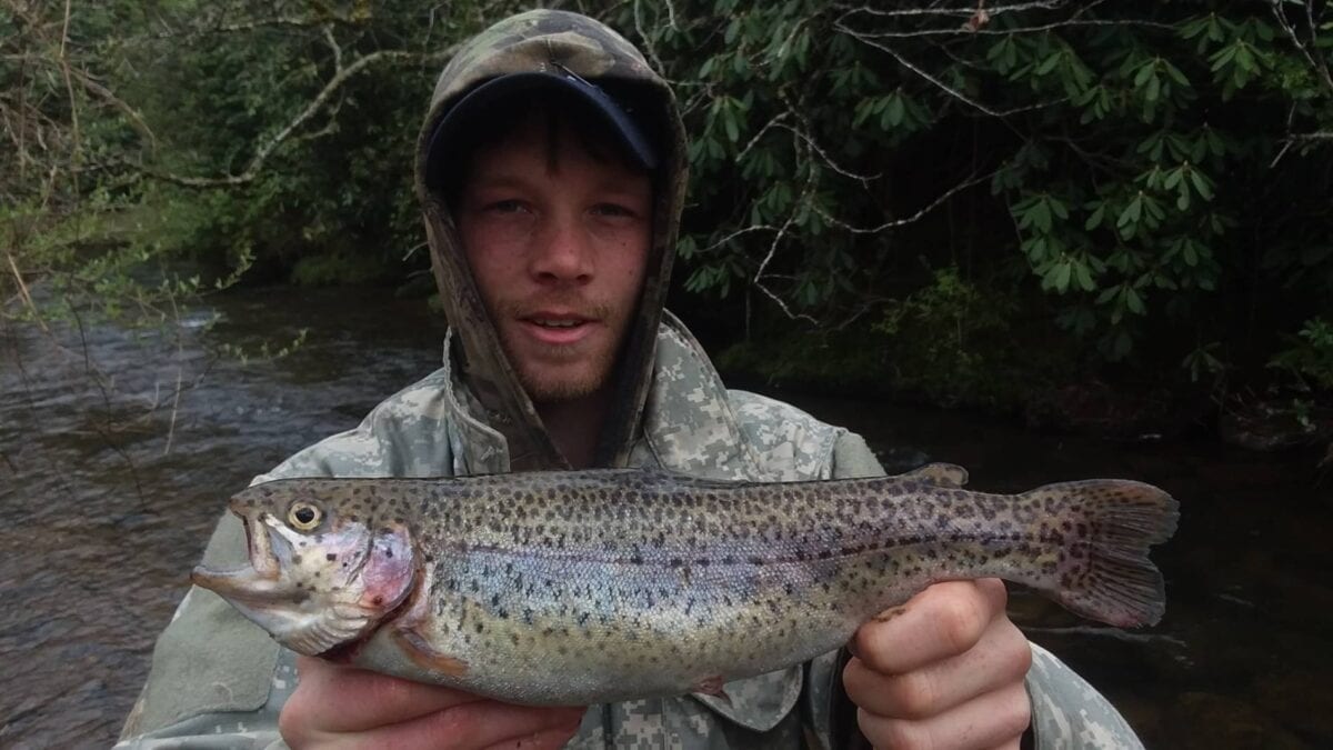 Virginia's Big Tumbling Creek Stocked with Big Trout Pautzke Bait Co