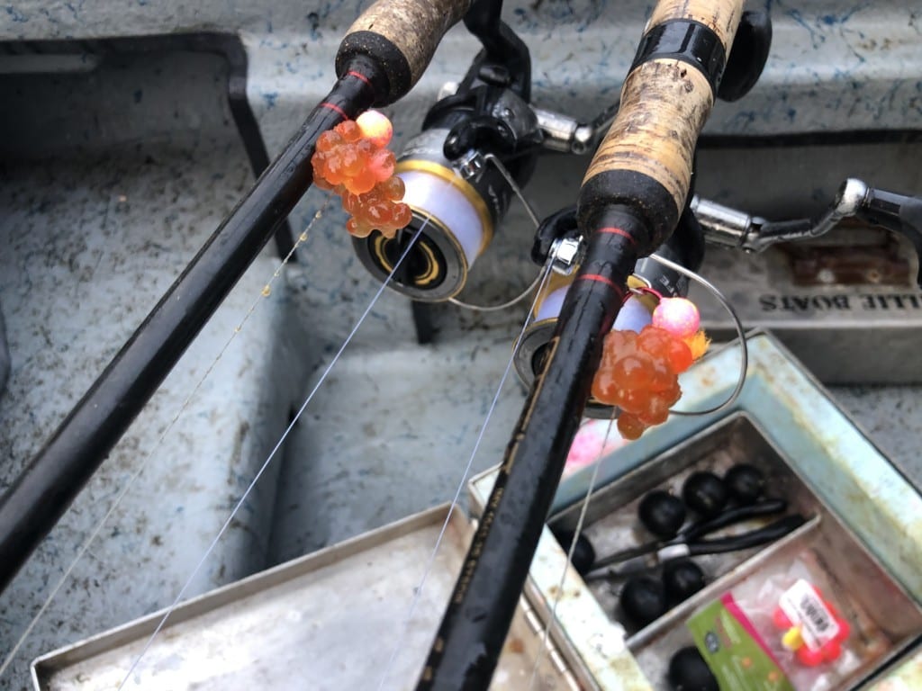 Colorado's Stagecoach Reservoir Fishing Well Through the Ice - Pautzke Bait  Co