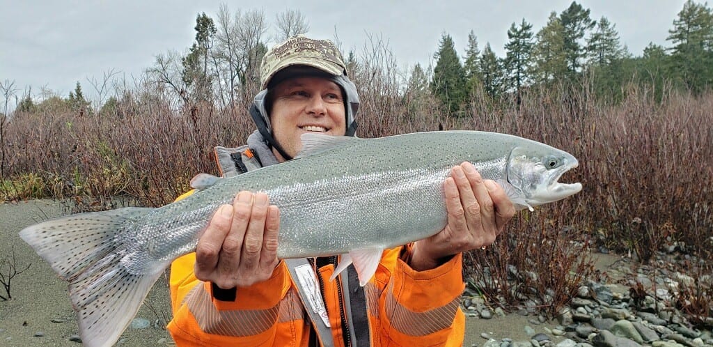 Oregon's Umpqua River Producing Lots of Steelhead - Pautzke Bait Co