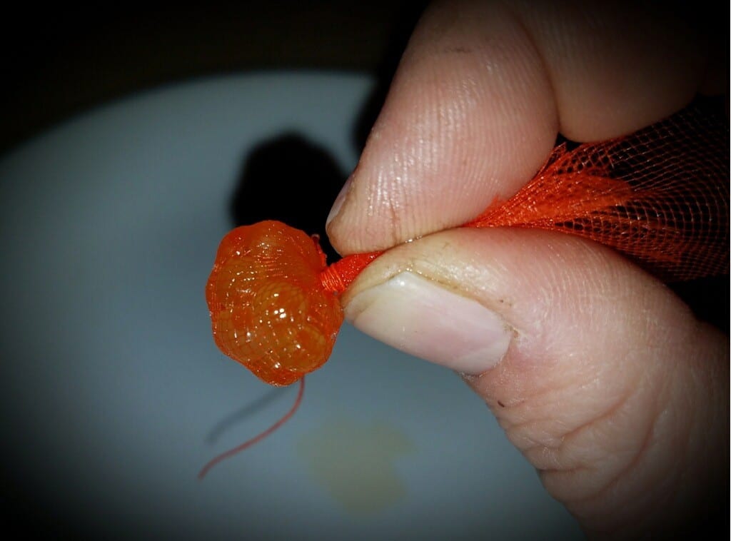 Cured Natural White Clear Salmon Spawn Egg Sacks Steelhead Trout