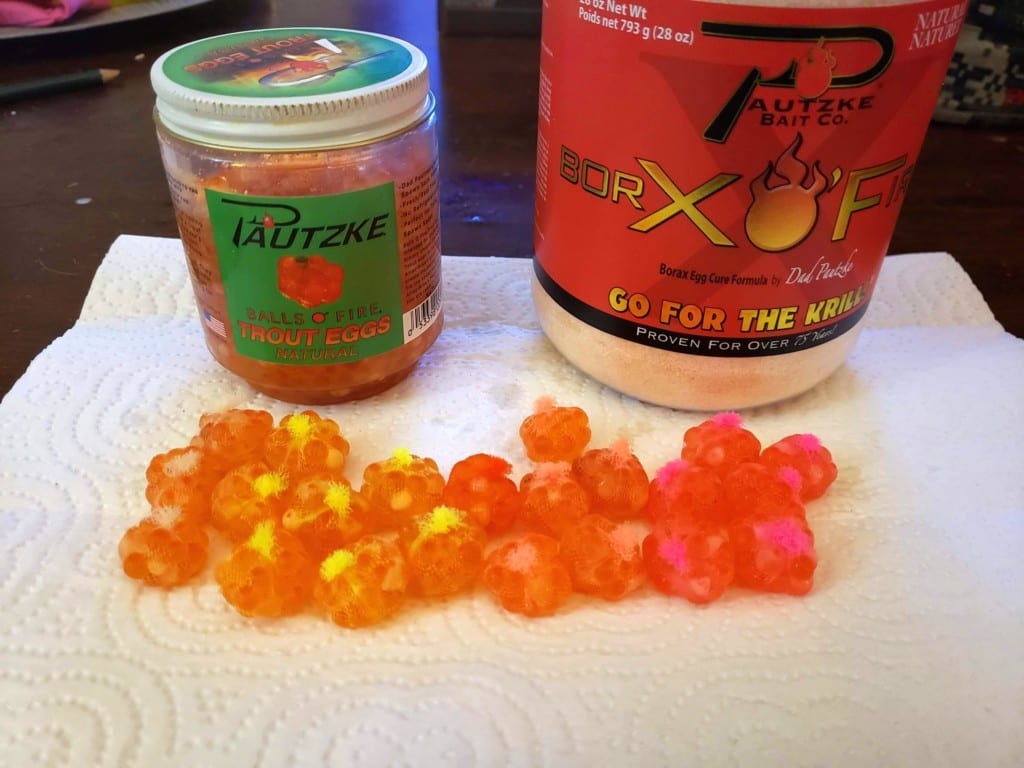 PAUTZKE TROUT EGGS