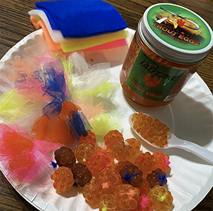 300-trout eggs-spoon+sacks Trout eggs with spawn sacks