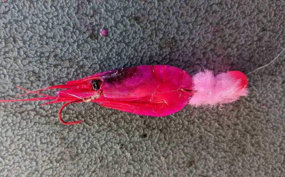 Atlas-Mike's Fishing Shrimp Eggs - Fluorescent Pink 