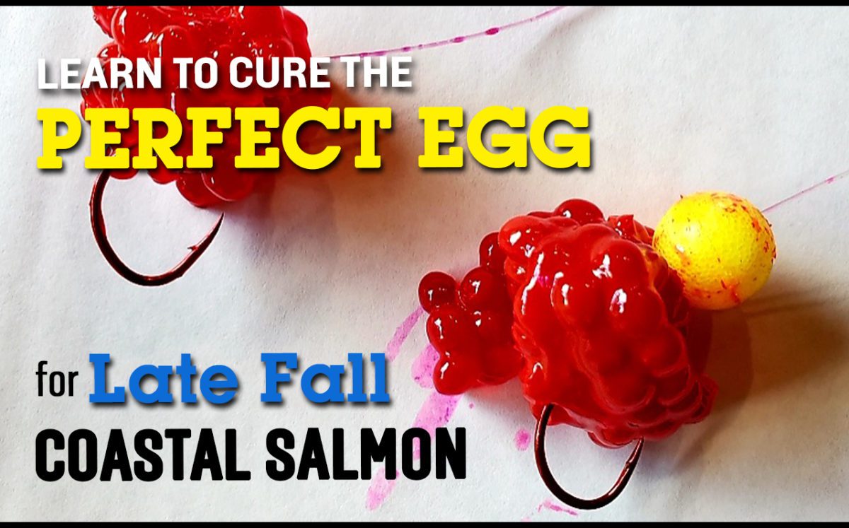 Learn to Cure the Perfect Egg for Late Fall Coastal Salmon
