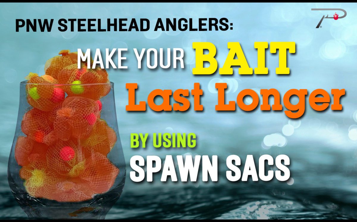 E 山王グラッシング OZ 5.10 パペル pavel fish E 山王グラッシング OZ